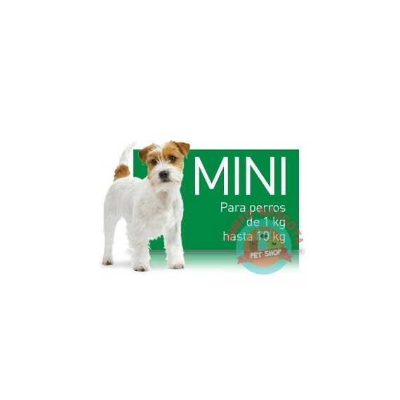 Royal Canin Mini Adult x 1kg
