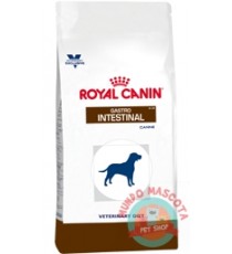 Royal Canin Gastrointestinal Dog  x 2 kg