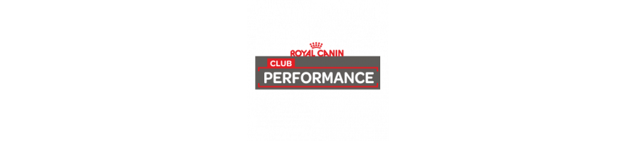 CLUB ROYAL PERFORMANCE